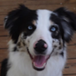 Meet your Posher, Tasha